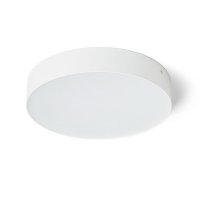 LARISA R 30 stropní bílá 230V LED 30W 3000K RENDL R12844