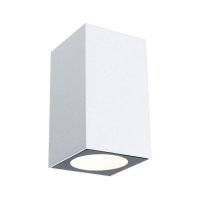 Venkovní nástěnné svítidlo Flame 1x3,8W IP44 3000K bílá 230V PAULMANN 94329