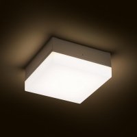 SPECTACLE přisazená stříbrnošedá 230V LED 5W IP54 3000K RENDL R11968