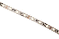 ORO-STRIP-300L-SMD-2835-NWD-CW-8MM 5m