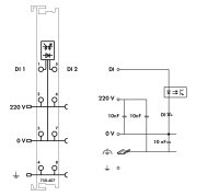 2kanálový binární vstup DC 220V světle šedá WAGO 750-407