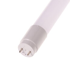 T8-EBT60-CW studená bílá LED trubice T-LED 011112