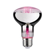 LED Grow Green lampa pro rostliny R80 E27 6,5 W PAULMANN 28733