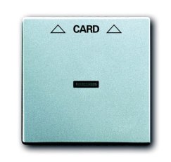 ABB Future Linear 1710-0-3670 Kryt spínače kartového,s čirým průzorem