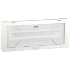 Exiway Smartled CBS IP65 L/300/216VDC230 SCHNEIDER OVA46020