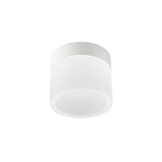 Stropní svítidlo NAIDA PL 1x6W LED SWH REDO 01-3357