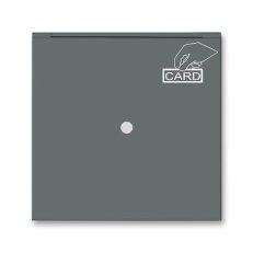 Kryt vypínače kartového s průzorem 3559M-A00700 61 grafitová Neo ABB