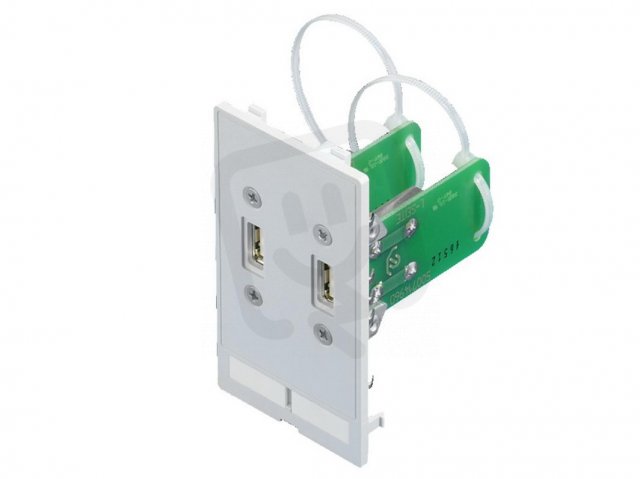 Rittal 2482540 Vložka rozhraní,2xUSB A(zásuvka/zásuvka)