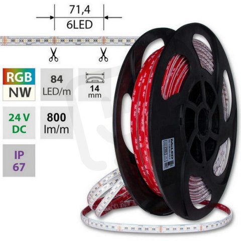 LED pásek SMD5050 RGB + NW, 84LED/m, 15W/m, DC24V, 800lm/m, IP67, 14mm, 50m