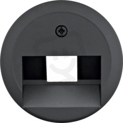 Centrální díl pro datovou zásuvku 1xRJ45 šikmá 1930/Glas černá mat plast