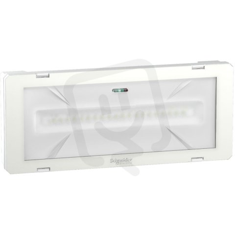 Exiway Smartled CBS IP65 L/300/216VDC230 SCHNEIDER OVA46020